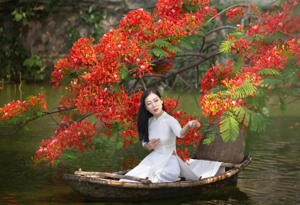 Ảnh Hoa Phượng