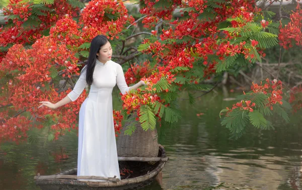 Ảnh Hoa Phượng
