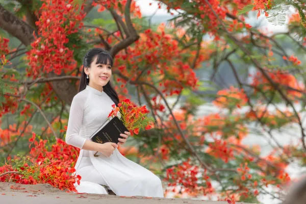 Ảnh Hoa Phượng