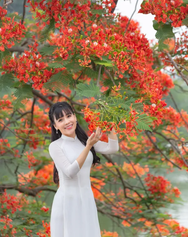 Ảnh Hoa Phượng
