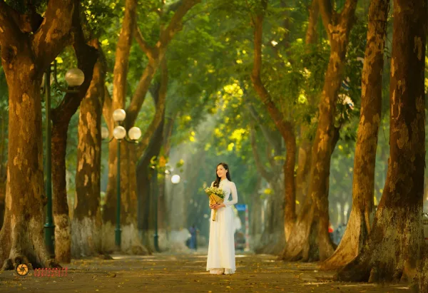 Ảnh phố phan đình phùng