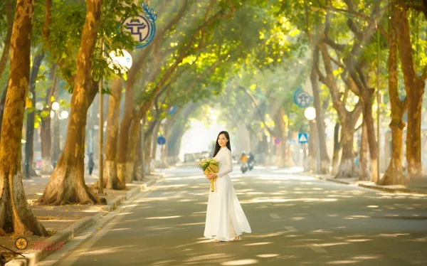 Ảnh phố phan đình phùng