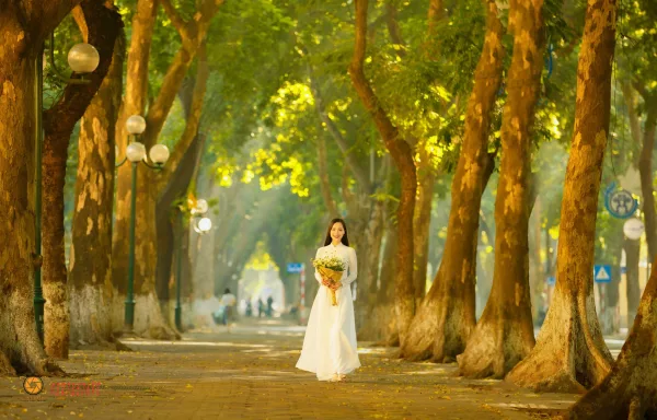 Ảnh phố phan đình phùng