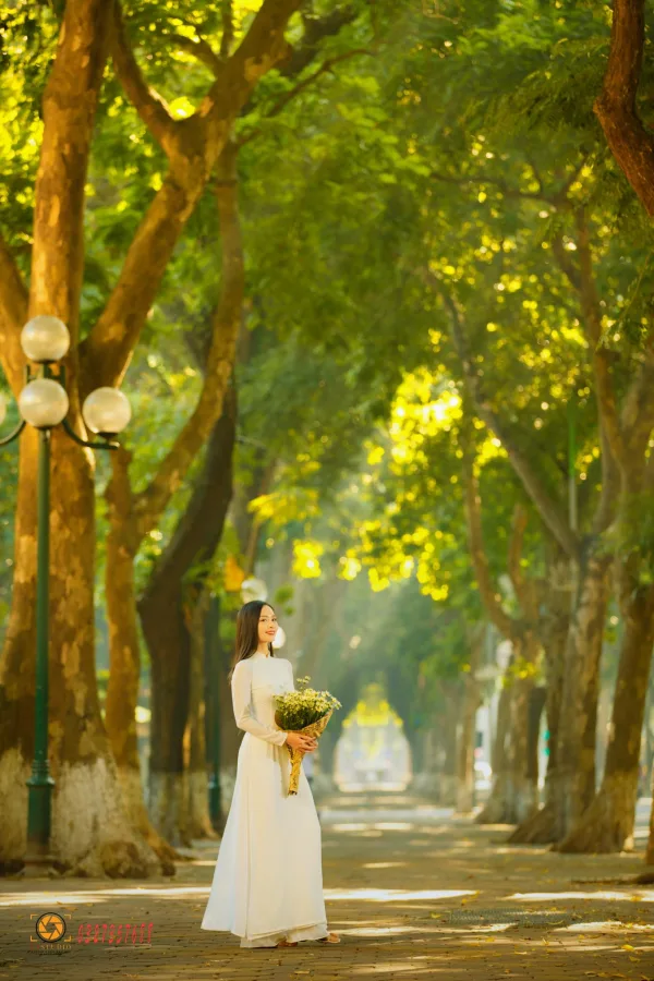 Ảnh phố phan đình phùng