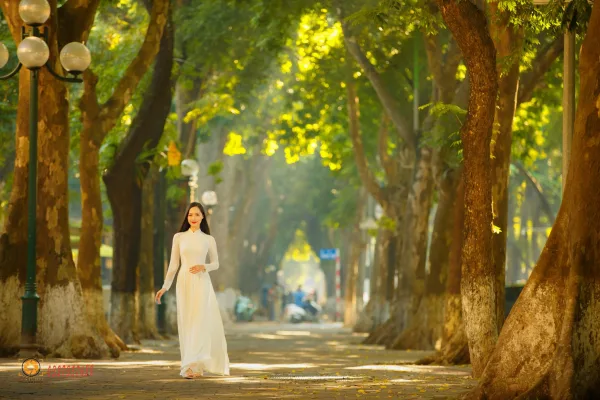 Ảnh phố phan đình phùng