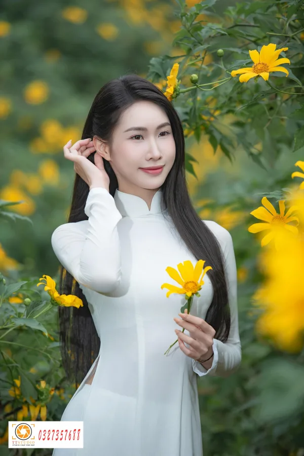 Ảnh áo dài với hoa dã quỳ
