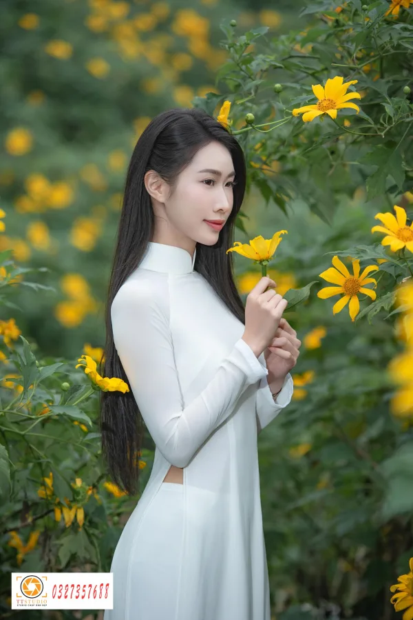 Ảnh áo dài với hoa dã quỳ