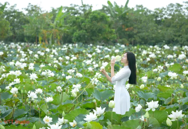 ảnh áo dài trắng truyền thống