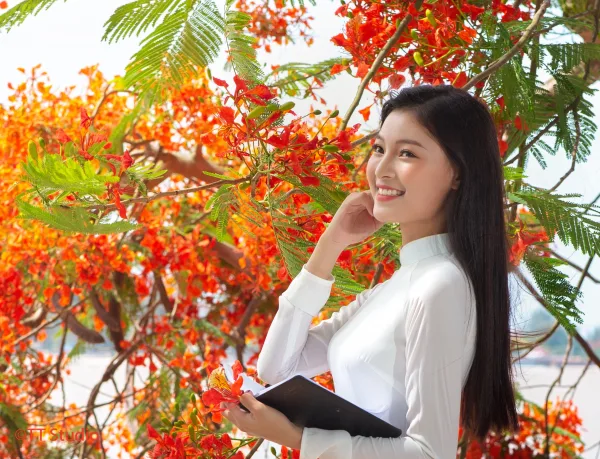 ảnh áo dài trắng truyền thống