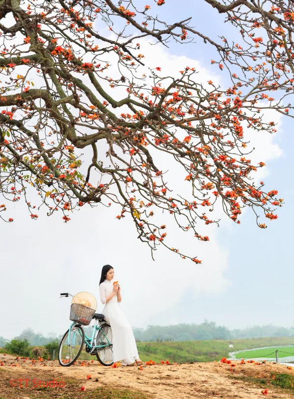 ảnh áo dài trắng truyền thống