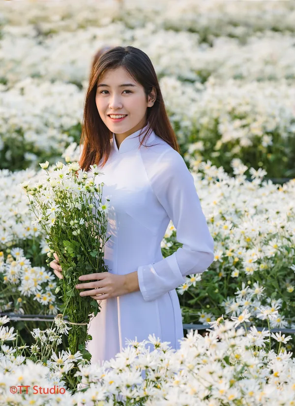 ảnh chụp cúc hoạ mi đẹp