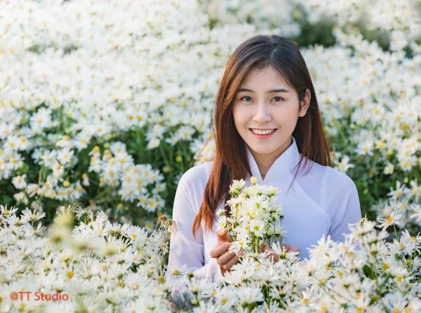 ảnh chụp cúc hoạ mi đẹp