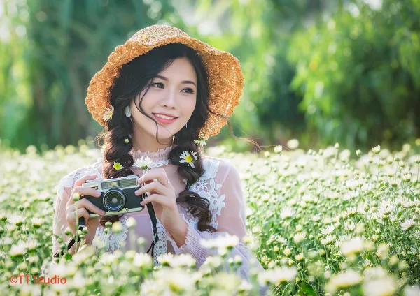 ảnh chụp cúc hoạ mi đẹp