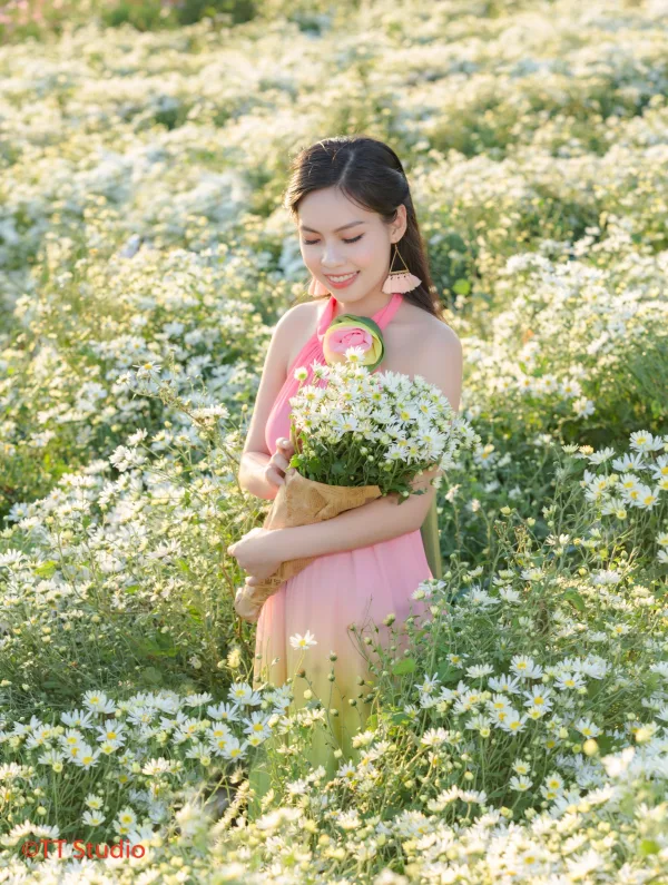 ảnh chụp cúc hoạ mi đẹp