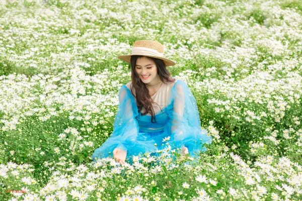 Chụp ảnh cúc hoạ mi đẹp