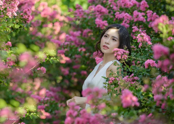 Ảnh dã ngoại