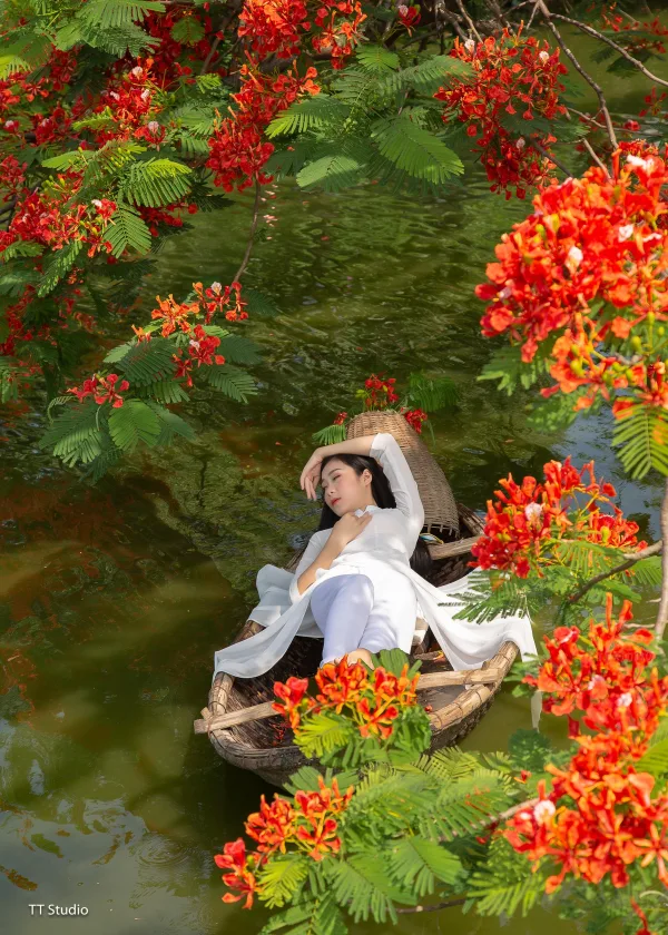Ảnh dã ngoại