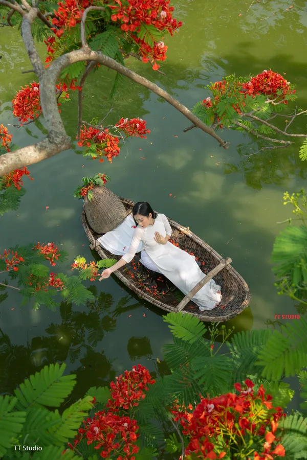 Ảnh dã ngoại