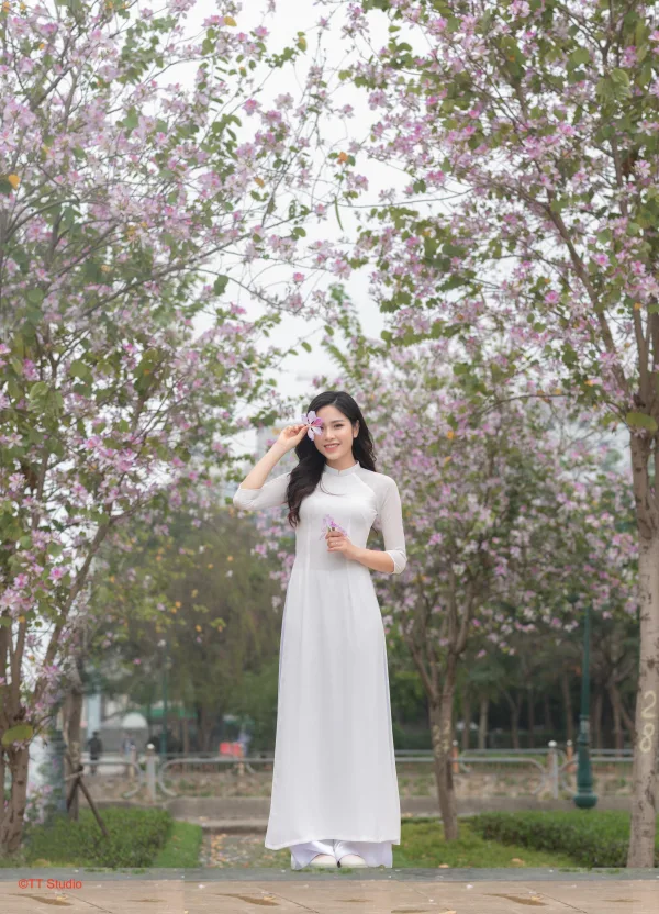 Chụp ảnh hoa ban