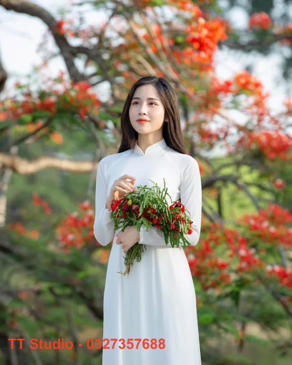 Ảnh áo dài với hoa phượng