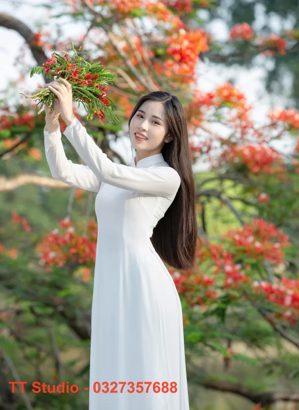 Ảnh áo dài với hoa phượng