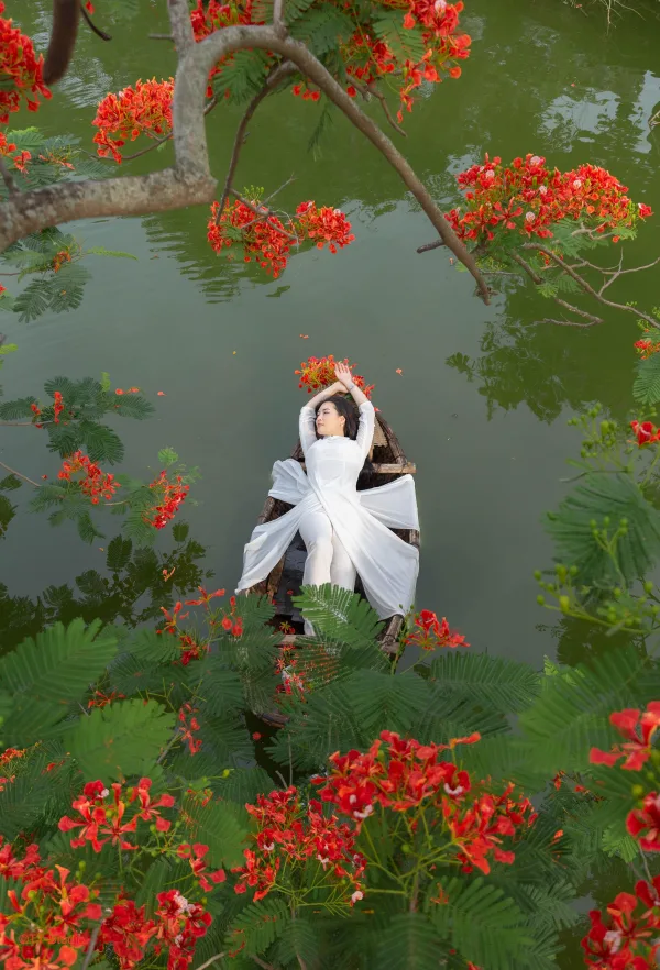 Chụp ảnh Hoa Phượng Trường Yên