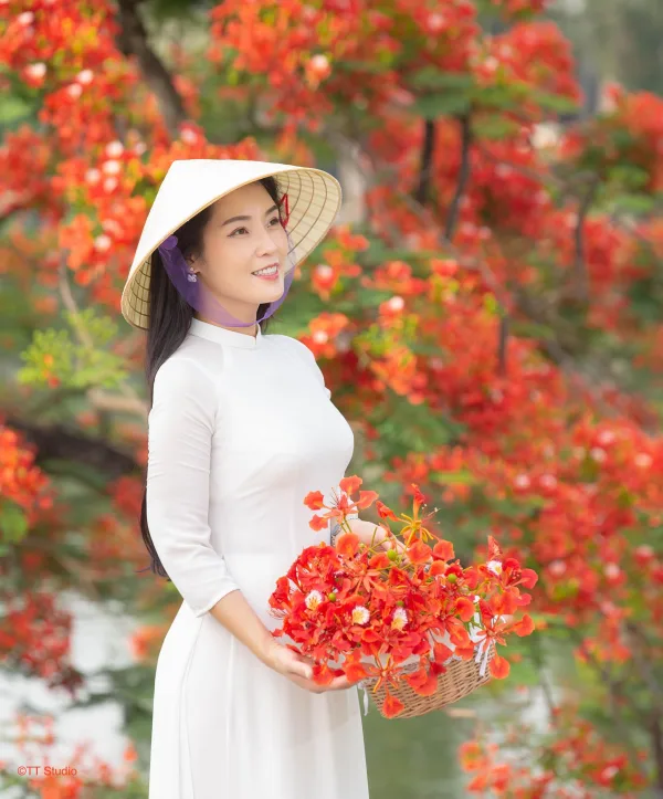 Chụp ảnh Hoa Phượng Trường Yên