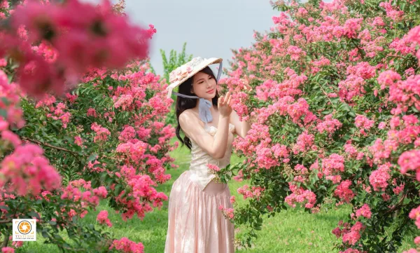 Anh hoa tường vi
