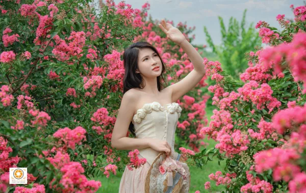 ảnh hoa tường vi