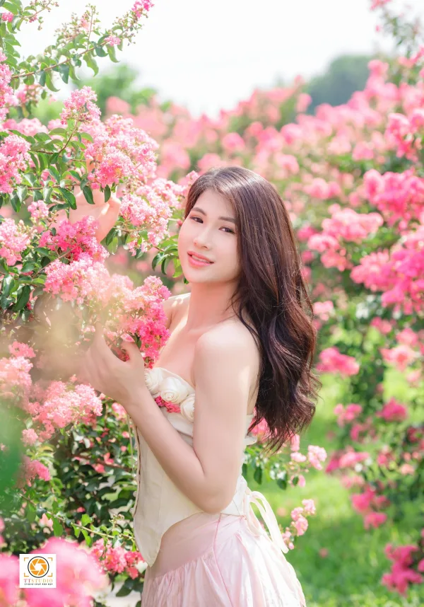 ảnh hoa tường vi