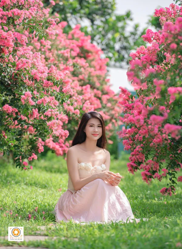 ảnh hoa tường vi