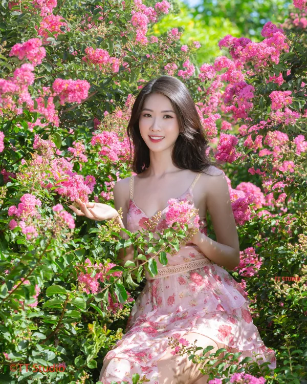 Chụp Ảnh Hoa Tường Vi Đẹp Hà Nội