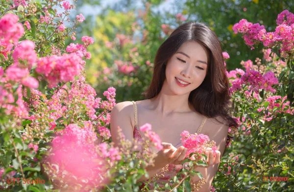 Chụp Ảnh Hoa Tường Vi Đẹp Hà Nội