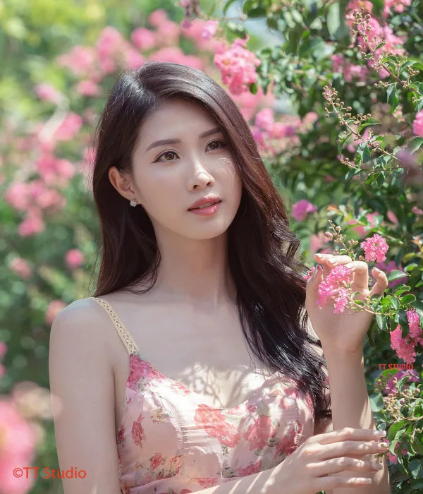 Chụp Ảnh Hoa Tường Vi Đẹp Hà Nội