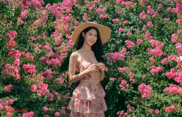 Chụp Ảnh Hoa Tường Vi Đẹp Hà Nội