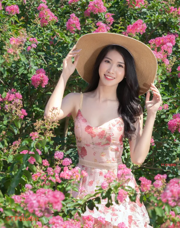 Chụp Ảnh Hoa Tường Vi Đẹp Hà Nội