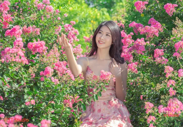 Chụp Ảnh Hoa Tường Vi Đẹp Hà Nội