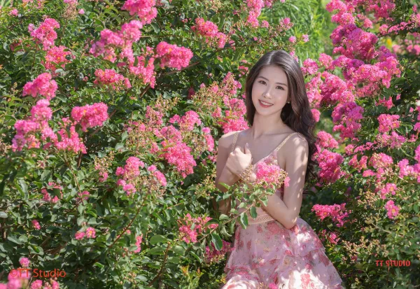  Chụp Ảnh Hoa Tường Vi Đẹp Hà Nội