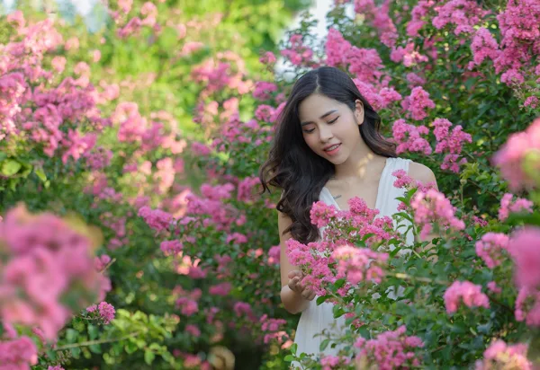 ảnh hoa tường vi