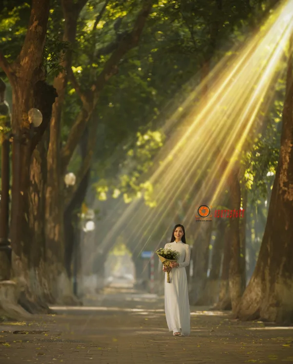 Ảnh Đường Phan Đình Phùng Mùa Thu