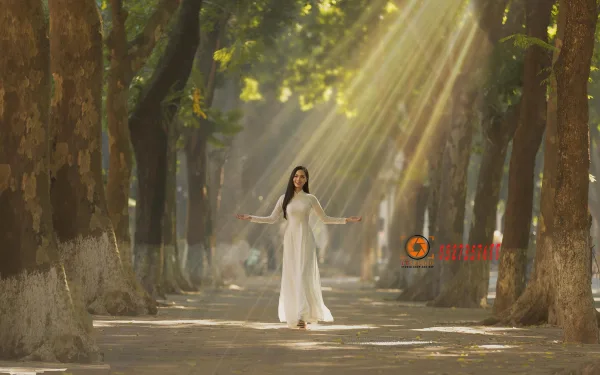 Ảnh Đường Phan Đình Phùng Mùa Thu