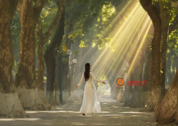 Mùa thu phố phan đình phùng