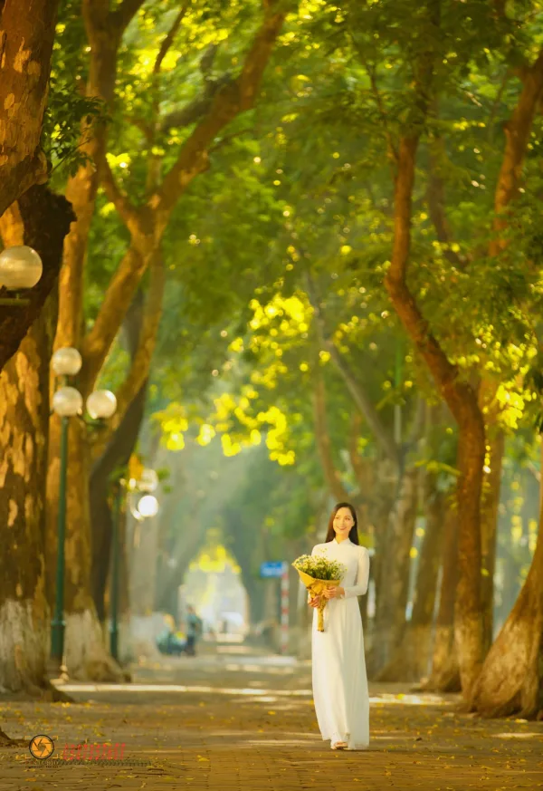 Ảnh phố phan đình phùng