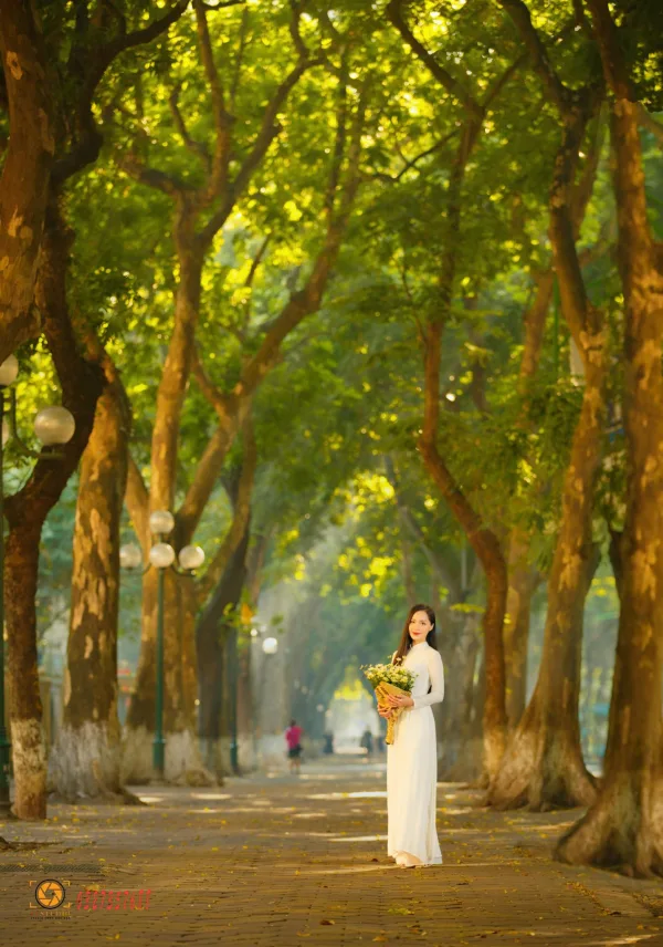 Ảnh phố phan đình phùng