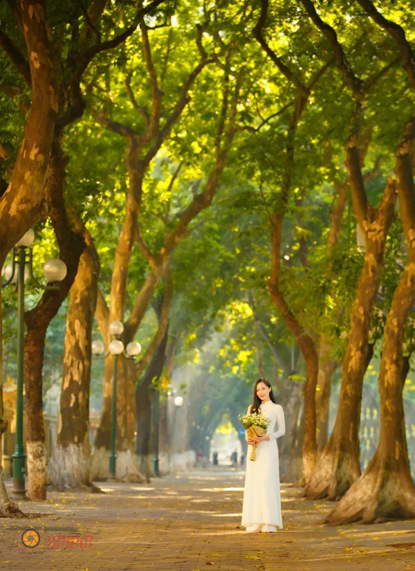 Ảnh phố phan đình phùng