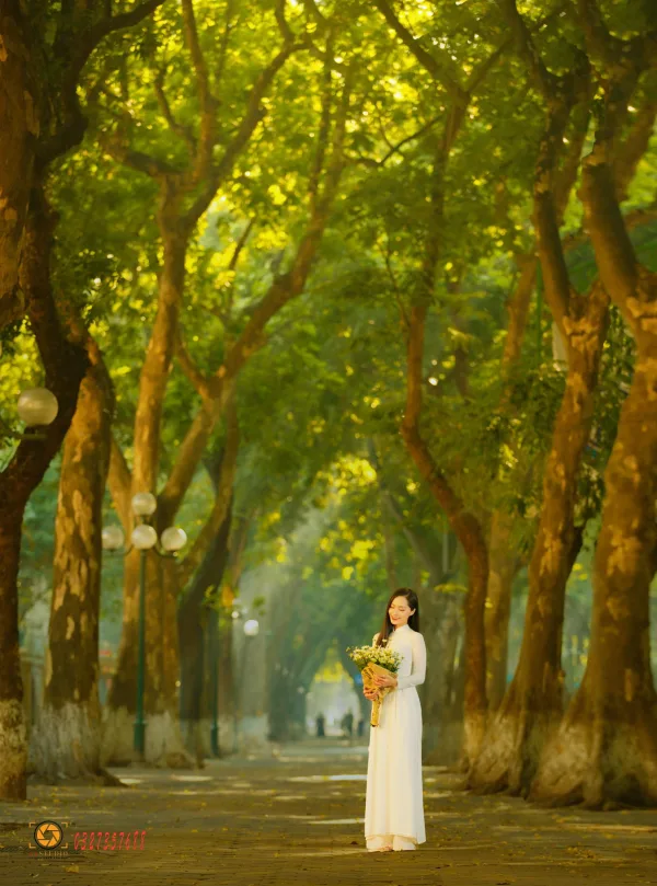 Ảnh phố phan đình phùng