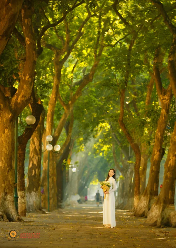 Ảnh phố phan đình phùng