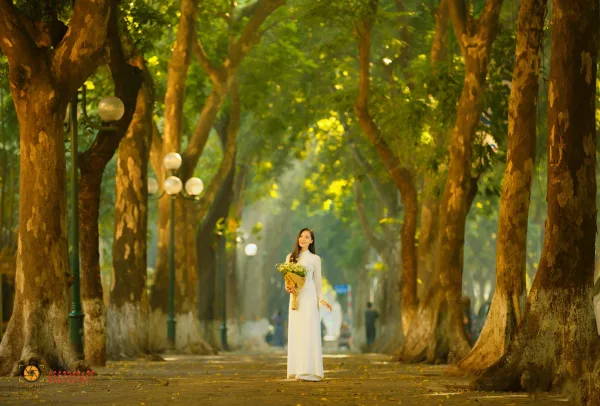 Ảnh phố phan đình phùng