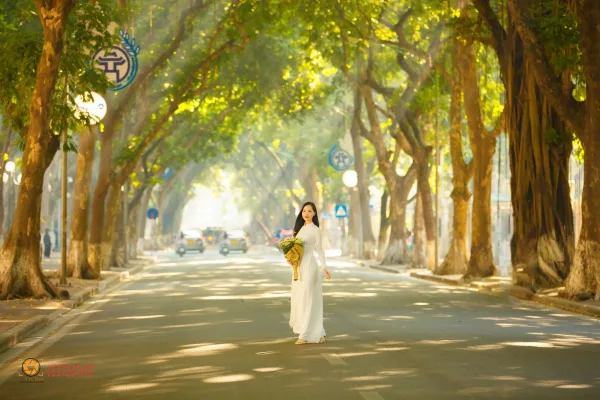 Ảnh phố phan đình phùng