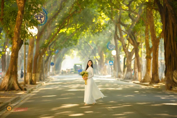 Ảnh phố phan đình phùng